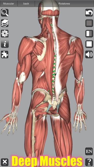 3D Anatomy Schermata dell'app #5