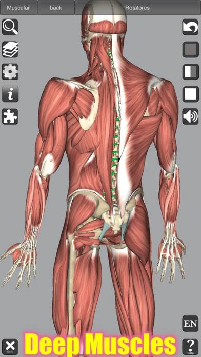 3D Anatomy App-Screenshot