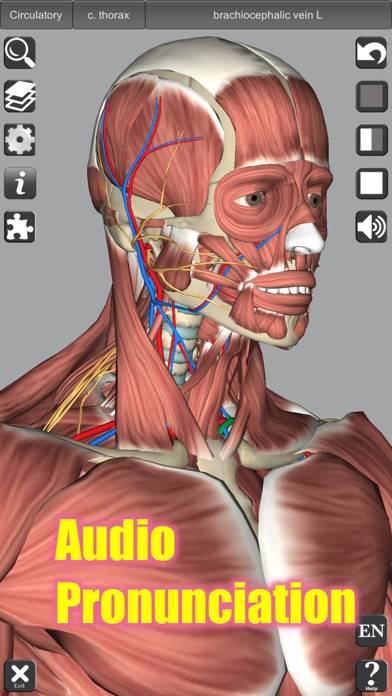 3D Anatomy Uygulama ekran görüntüsü #6