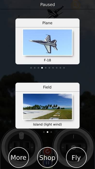 Electric RC Sim Uygulama ekran görüntüsü #4