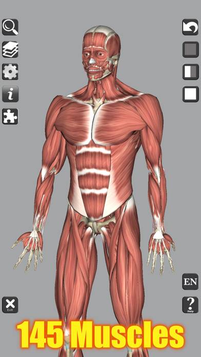 3D Bones and Muscles (Anatomy) Uygulama ekran görüntüsü #1