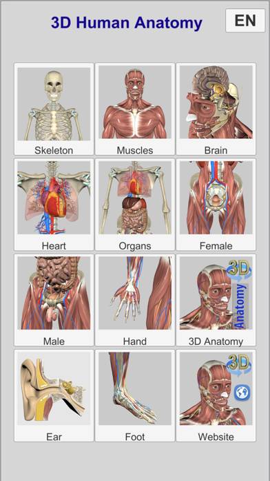 3D Bones and Muscles (Anatomy) Uygulama ekran görüntüsü #2