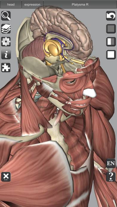 3D Bones and Muscles (Anatomy) Uygulama ekran görüntüsü #4