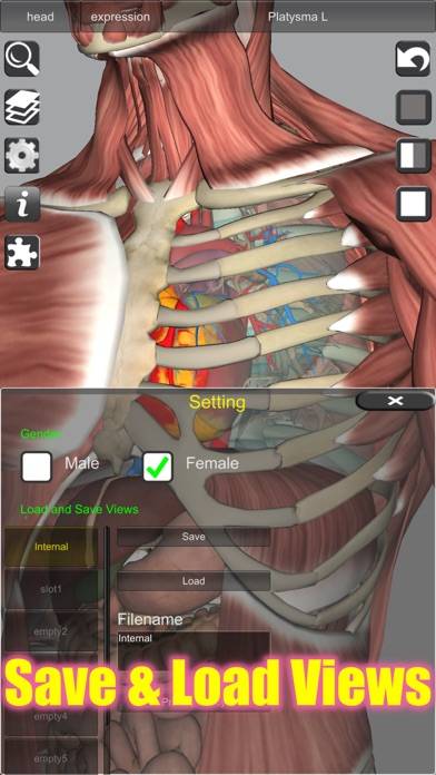 3D Bones and Muscles (Anatomy) Uygulama ekran görüntüsü #5