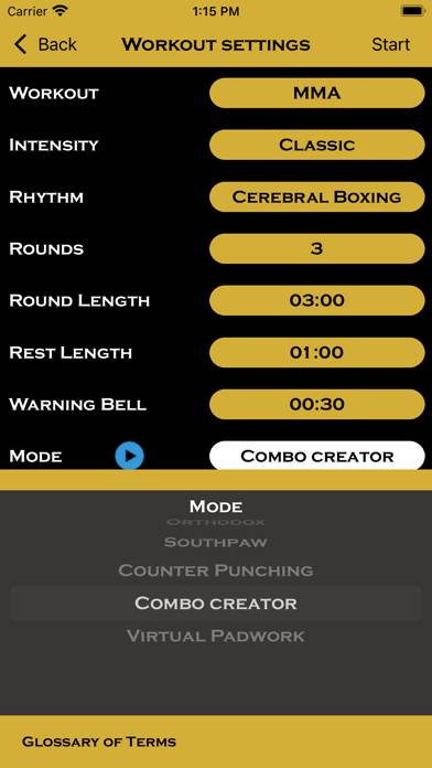 Precision Boxing Coach Pro App screenshot #2