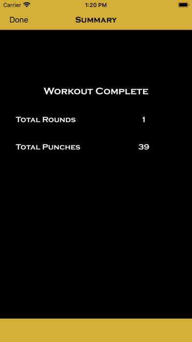 Precision Boxing Coach Pro App screenshot #5