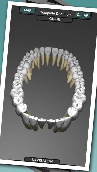 Real Tooth Morphology App-Screenshot #1