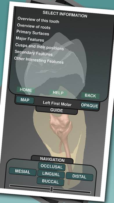 Real Tooth Morphology App-Screenshot #2