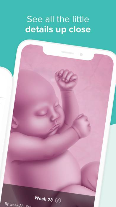 Ovia Pregnancy & Baby Tracker App screenshot #2