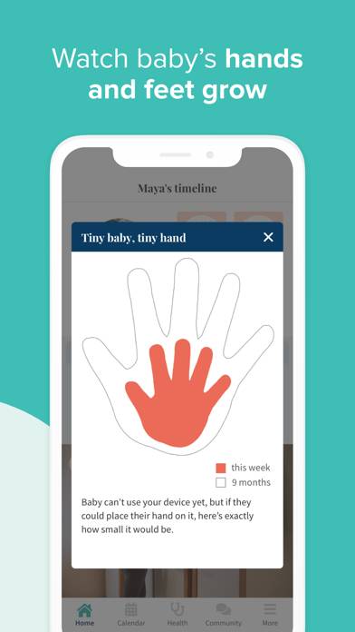 Ovia Pregnancy & Baby Tracker App screenshot #6