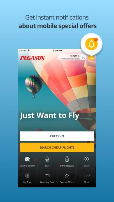 Pegasus: Cheap Flight Tickets Uygulama ekran görüntüsü #3
