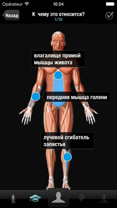Виртуальное человеческое тело Скриншот приложения #1