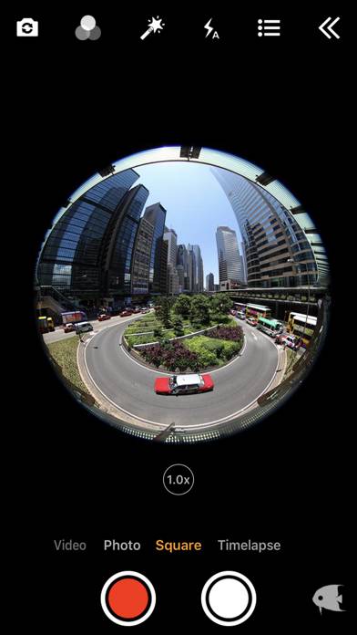 FishEyeVideo Square Capture d'écran de l'application