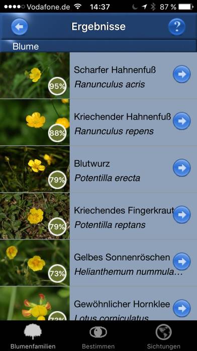 Blumen Id Automatik App screenshot #3