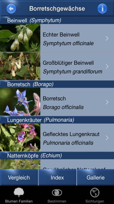 Blumen Id Automatik App screenshot #6