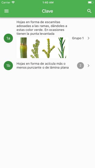 Arboles Ibericos Captura de pantalla de la aplicación #3