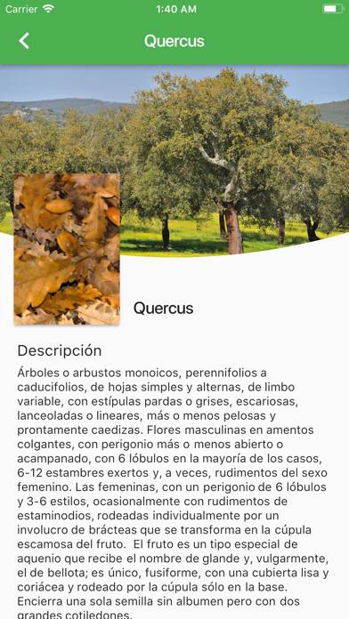 Arboles Ibericos Captura de pantalla de la aplicación #6