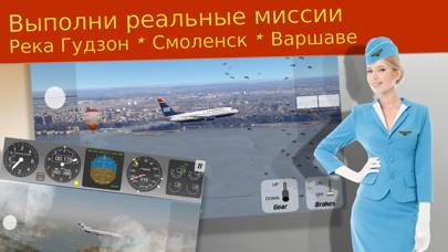 737 Flight Simulator Captura de pantalla de la aplicación #3