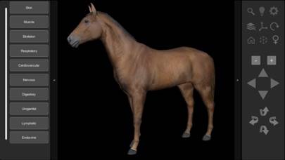 3D Horse Anatomy Software immagine dello schermo