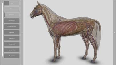 3D Horse Anatomy Software Schermata dell'app #3