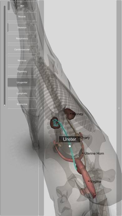 3D Horse Anatomy Software App screenshot #6