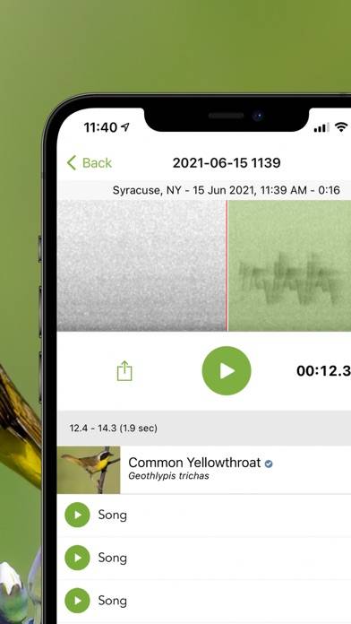 Merlin Bird ID by Cornell Lab App screenshot #3