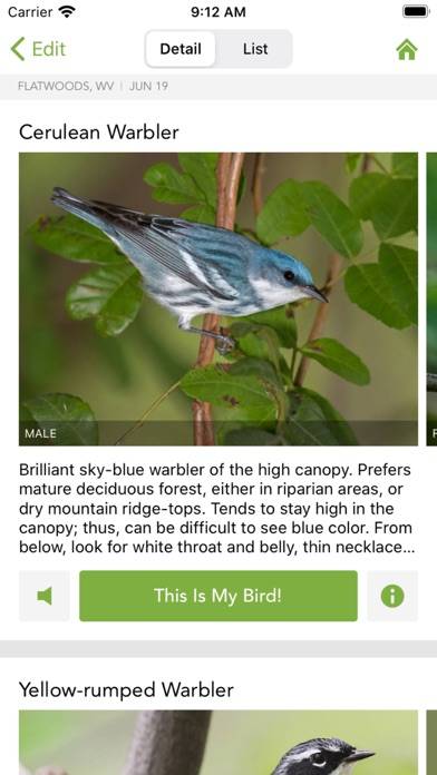 Merlin Bird ID by Cornell Lab App skärmdump #5