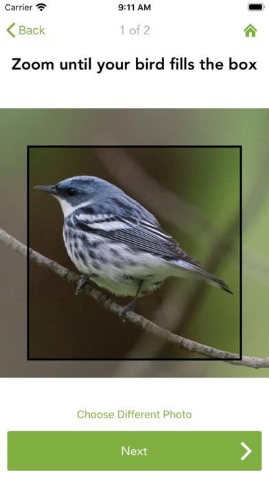 Merlin Bird ID by Cornell Lab App skärmdump #6