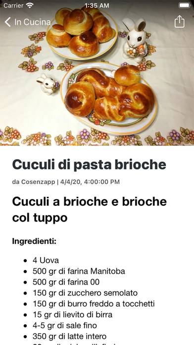 CosenzApp Schermata dell'app