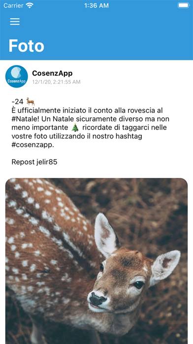CosenzApp Schermata dell'app