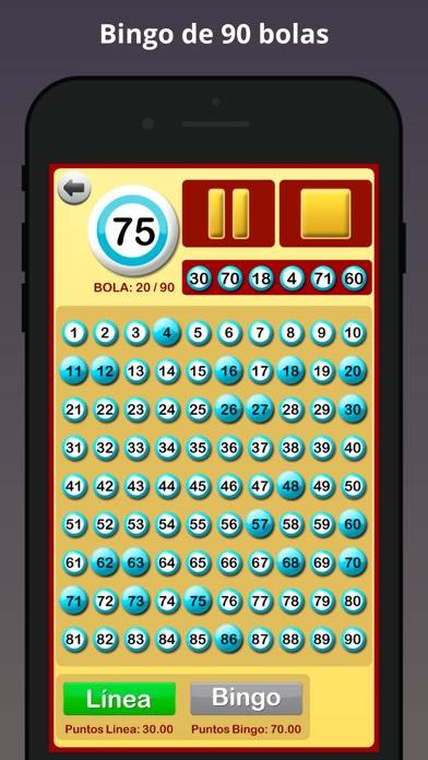Bingo at Home Captura de pantalla de la aplicación #3
