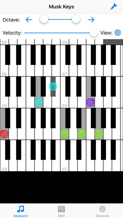 Musk MIDI Keyboard screenshot