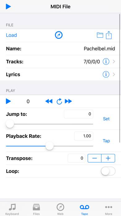 Musk MIDI Player Captura de pantalla de la aplicación #3