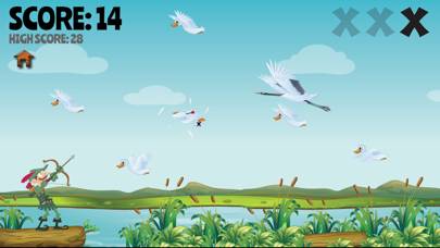 Duck Bow Hunt game screenshot