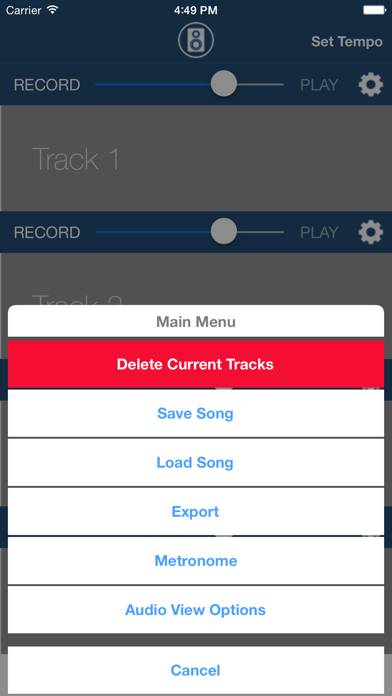Multi Track Song Recorder Pro Uygulama ekran görüntüsü #5