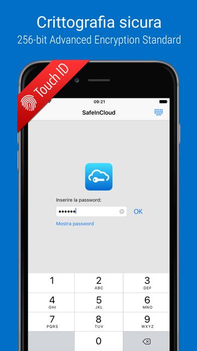 Password Manager SafeInCloud 1 Скриншот приложения #1