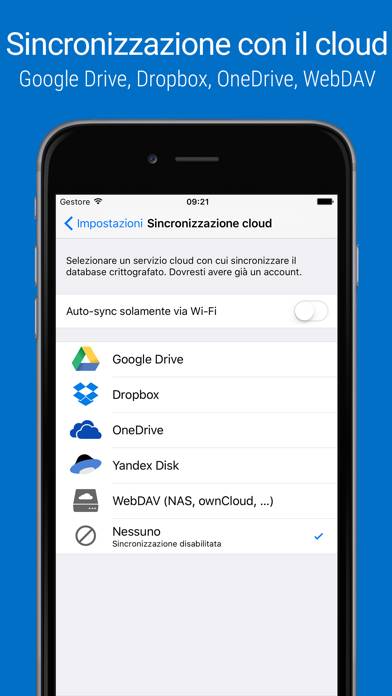 Password Manager SafeInCloud 1 App-Screenshot #5