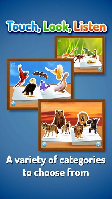 Zoo Animals ~ Touch, Look, Listen game screenshot