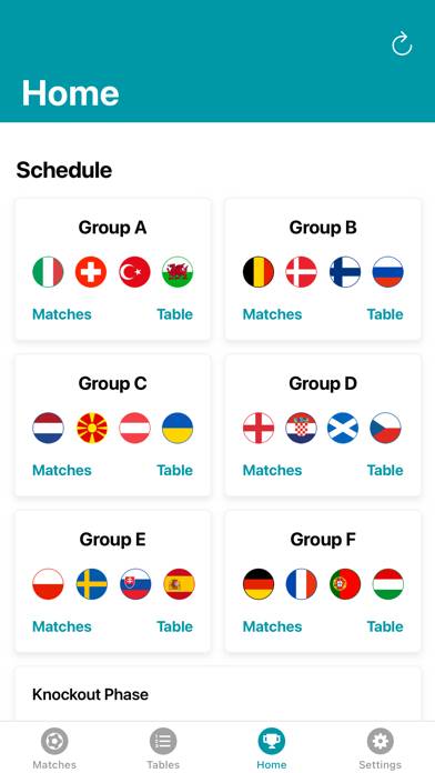 European Championship App 2024 Captura de pantalla de la aplicación #1