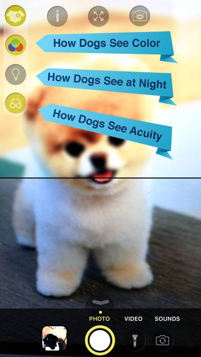 Dog Vision HD Captura de pantalla de la aplicación #2