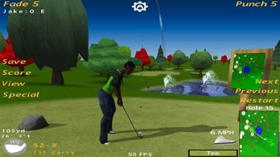 Birdie Golf schermata del gioco
