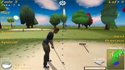 Birdie Golf schermata del gioco