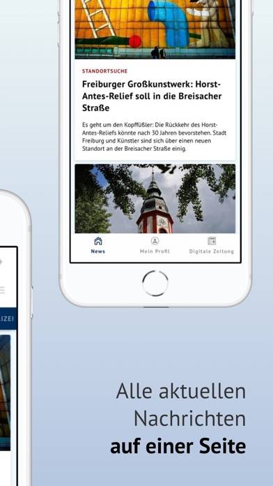 BZ-Smart App-Screenshot #2