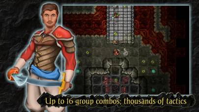 Heroes of Steel RPG Elite captura de pantalla