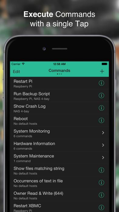 SimpleSSH - SSH Commands, File Viewer & Terminal