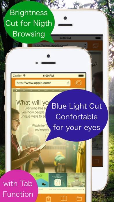 Brightness and Blue Light Cut Browser “AceColor” Captura de pantalla de la aplicación #1