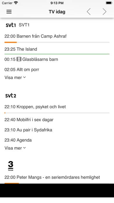 TV tablå idag alla kanaler skärmdump