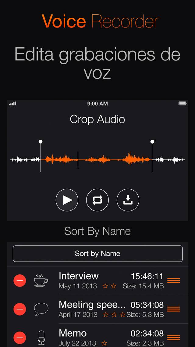 Grabadora voz: grabación audio Captura de pantalla de la aplicación #2