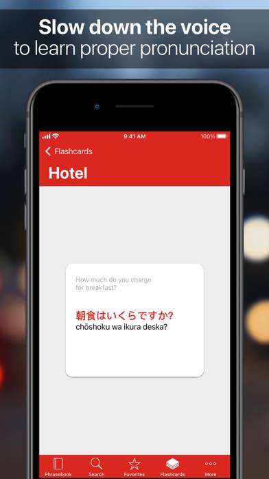 SpeakEasy Japanese Pro App screenshot