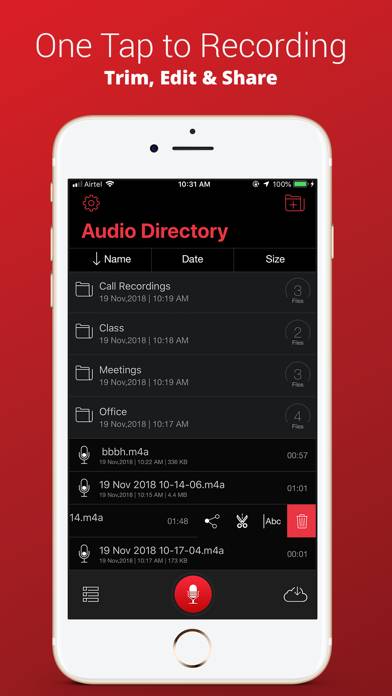 Voice Recorder Plus Pro Captura de pantalla de la aplicación #2